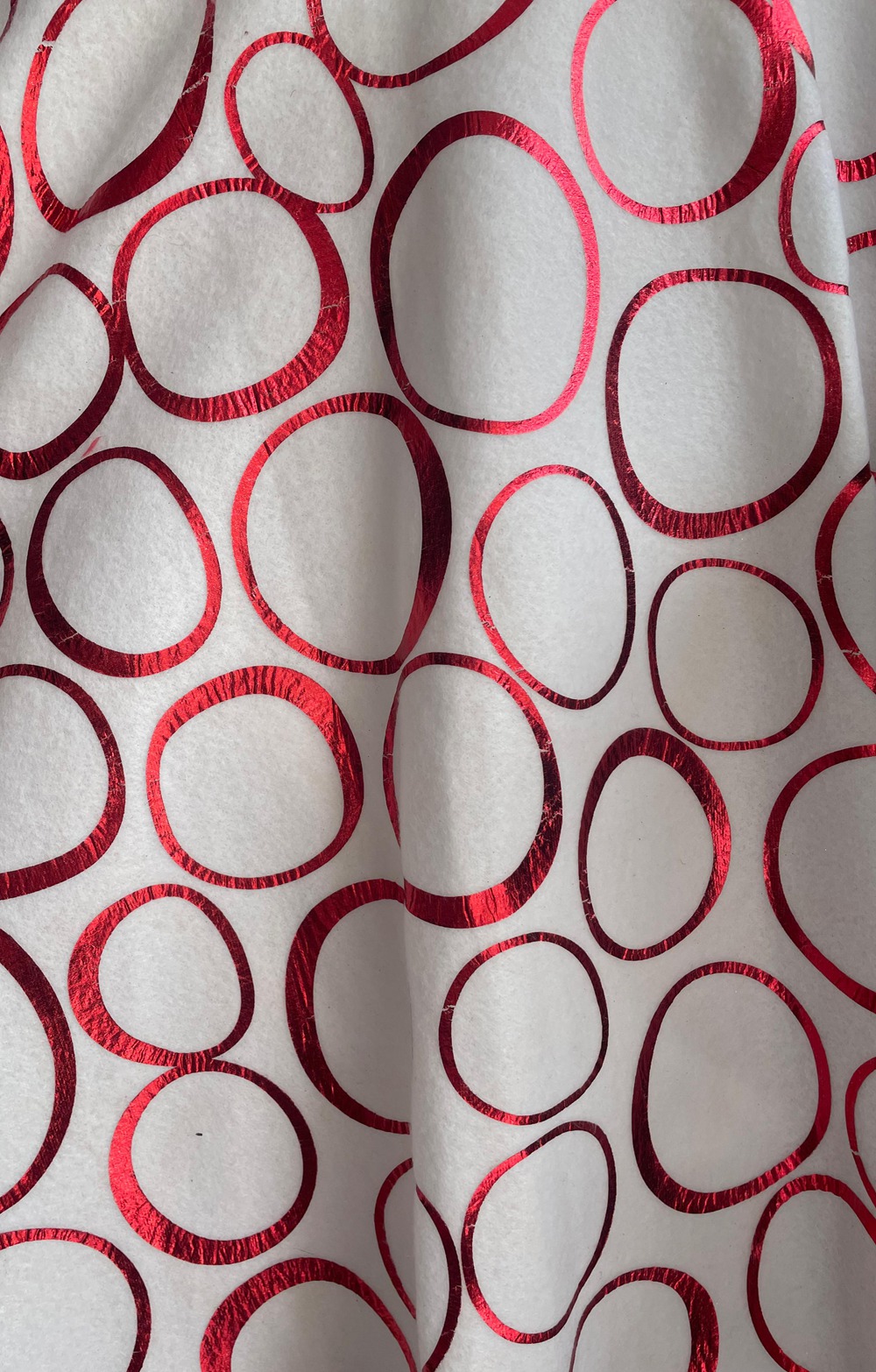 DAKOTA NAVIDEÑO